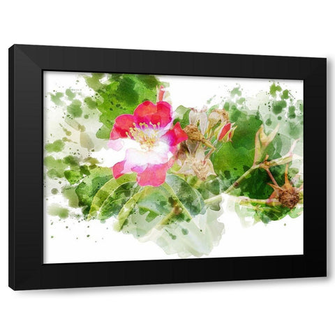 Floral in Bloom XIII Black Modern Wood Framed Art Print by Young, Chamira