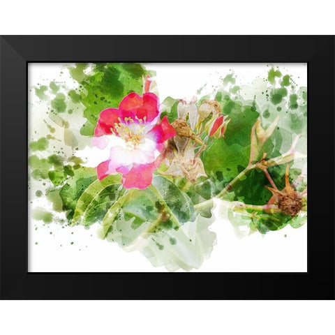 Floral in Bloom XIII Black Modern Wood Framed Art Print by Young, Chamira