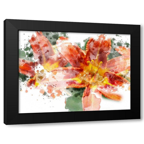 Floral in Bloom XVII Black Modern Wood Framed Art Print by Young, Chamira
