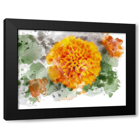 Floral in Bloom XIX Black Modern Wood Framed Art Print with Double Matting by Young, Chamira