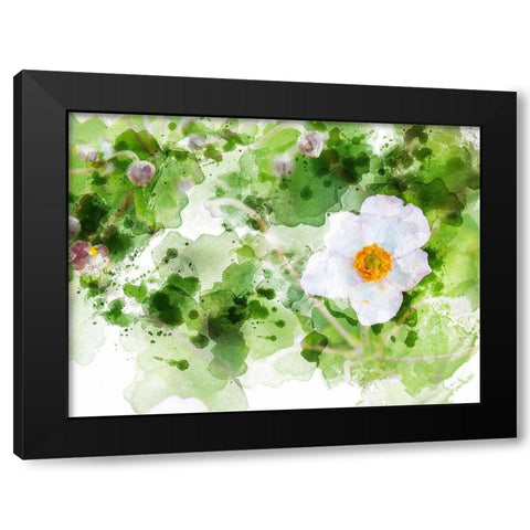 Floral in Bloom XXII Black Modern Wood Framed Art Print with Double Matting by Young, Chamira