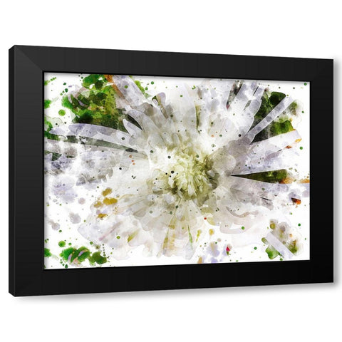 Floral in Bloom XXIII Black Modern Wood Framed Art Print by Young, Chamira