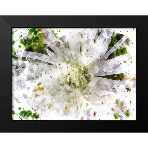 Floral in Bloom XXIII Black Modern Wood Framed Art Print by Young, Chamira