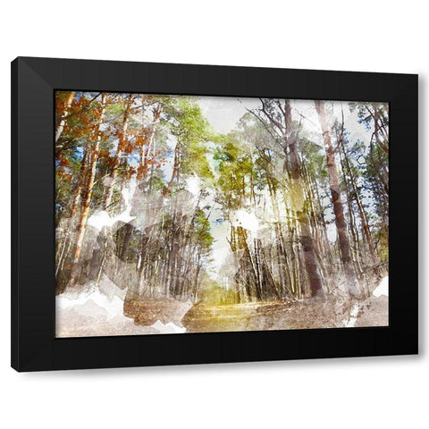 Forest Road I Black Modern Wood Framed Art Print by Young, Chamira