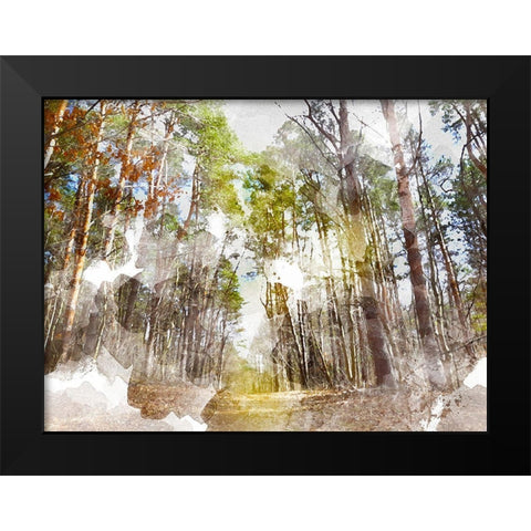 Forest Road I Black Modern Wood Framed Art Print by Young, Chamira