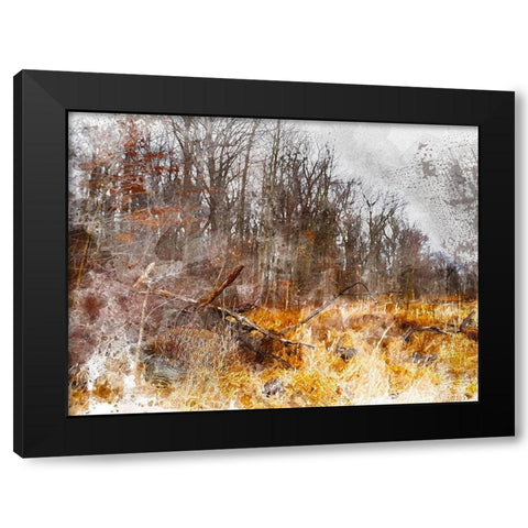 Autumn Forest I Black Modern Wood Framed Art Print by Young, Chamira