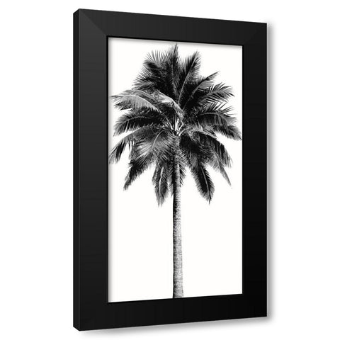 Palm Tree I Black Modern Wood Framed Art Print with Double Matting by Blake, Madeline