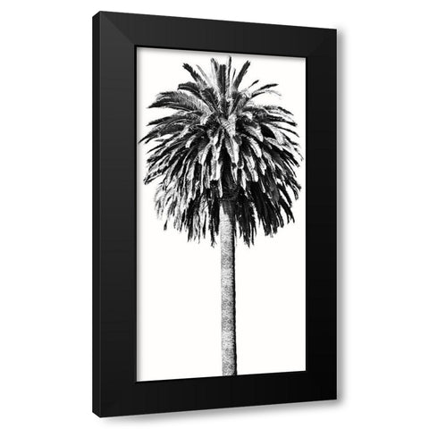 Palm Tree II Black Modern Wood Framed Art Print with Double Matting by Blake, Madeline