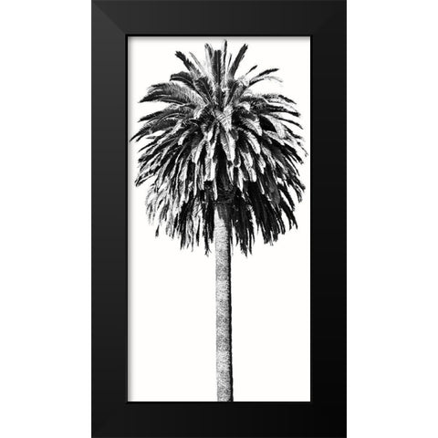 Palm Tree II Black Modern Wood Framed Art Print by Blake, Madeline