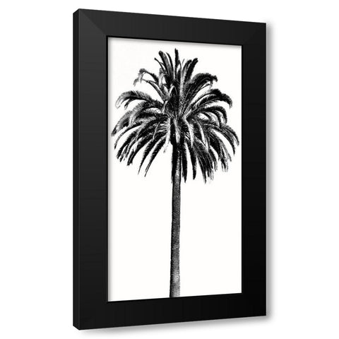 Palm Tree III Black Modern Wood Framed Art Print with Double Matting by Blake, Madeline