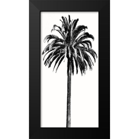 Palm Tree III Black Modern Wood Framed Art Print by Blake, Madeline