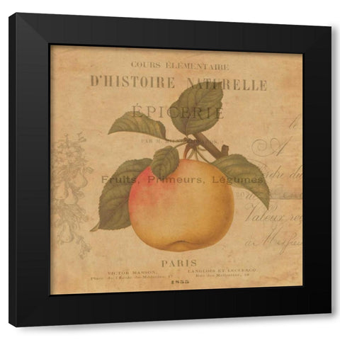 Pomme Black Modern Wood Framed Art Print by Devellier, Deborah