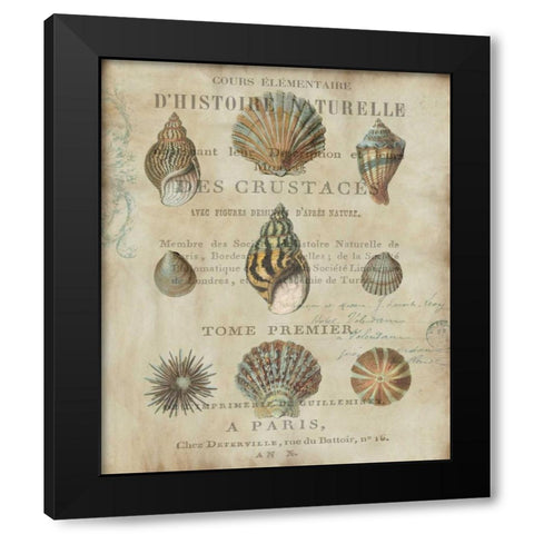 Shell Collection I Black Modern Wood Framed Art Print by Devellier, Deborah
