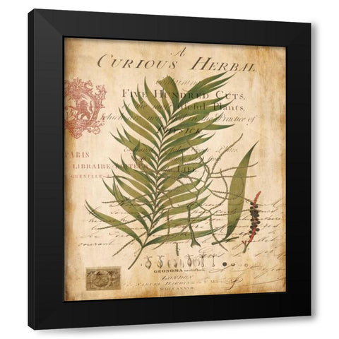 Palm Study I Black Modern Wood Framed Art Print with Double Matting by Devellier, Deborah