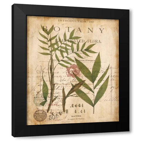 Palm Study II Black Modern Wood Framed Art Print with Double Matting by Devellier, Deborah