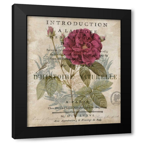 Botanique I Black Modern Wood Framed Art Print by Devellier, Deborah