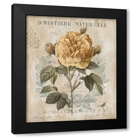 Botanique II Black Modern Wood Framed Art Print with Double Matting by Devellier, Deborah