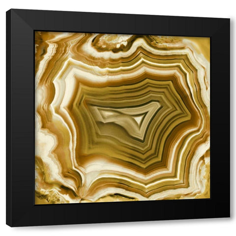 Agate in Amber Black Modern Wood Framed Art Print by Carson, Danielle