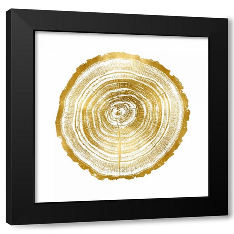 Timber Gold II Black Modern Wood Framed Art Print with Double Matting by Carson, Danielle