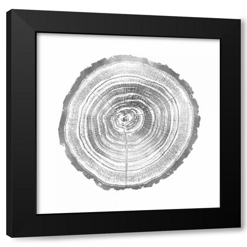 Timber Silver II Black Modern Wood Framed Art Print with Double Matting by Carson, Danielle