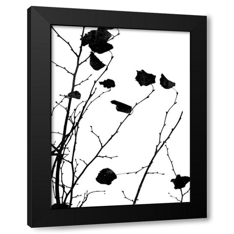Nature Silhouette V Black Modern Wood Framed Art Print with Double Matting by Carson, Danielle