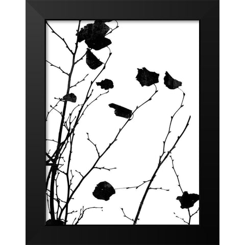 Nature Silhouette V Black Modern Wood Framed Art Print by Carson, Danielle