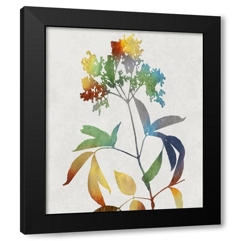 Colorful Nature V Black Modern Wood Framed Art Print by Carson, Danielle