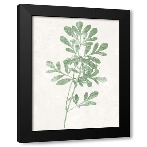 Nature Green II Black Modern Wood Framed Art Print with Double Matting by Carson, Danielle