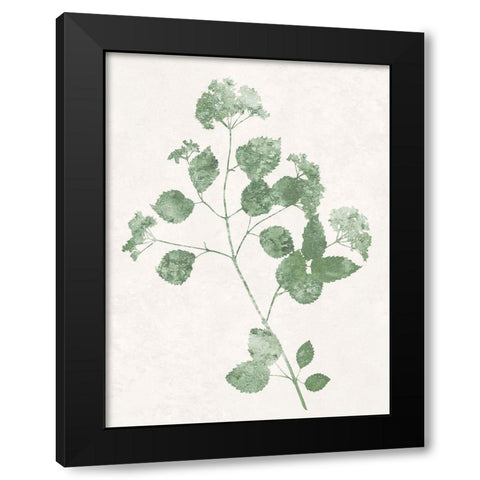 Nature Green VI Black Modern Wood Framed Art Print with Double Matting by Carson, Danielle