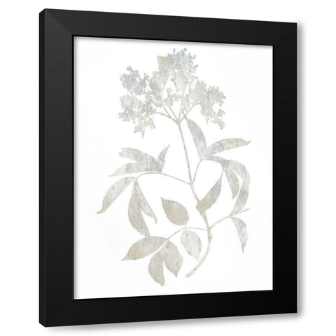 Natural Nature V Black Modern Wood Framed Art Print with Double Matting by Carson, Danielle