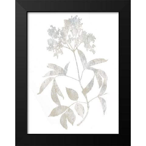 Natural Nature V Black Modern Wood Framed Art Print by Carson, Danielle