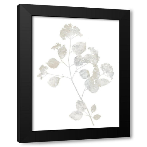 Natural Nature VI Black Modern Wood Framed Art Print with Double Matting by Carson, Danielle