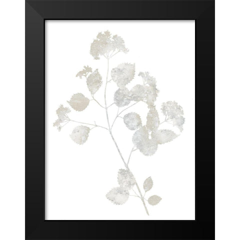 Natural Nature VI Black Modern Wood Framed Art Print by Carson, Danielle