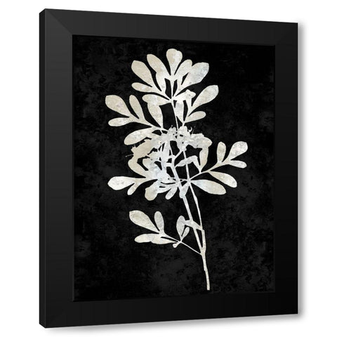 Nature White on Black II Black Modern Wood Framed Art Print by Carson, Danielle