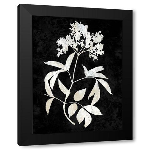 Nature White on Black V Black Modern Wood Framed Art Print by Carson, Danielle