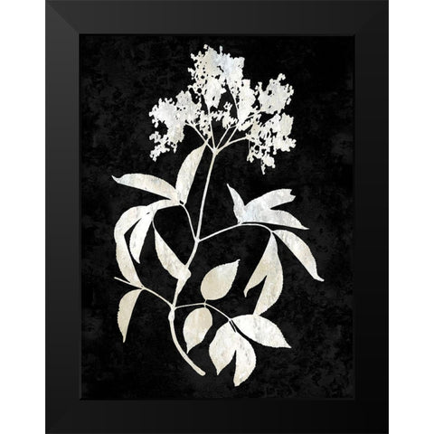 Nature White on Black V Black Modern Wood Framed Art Print by Carson, Danielle
