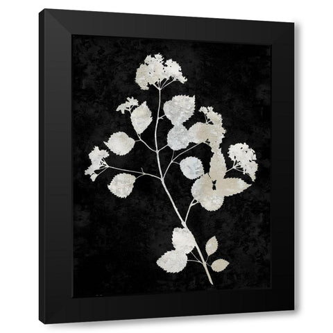 Nature White on Black VI Black Modern Wood Framed Art Print with Double Matting by Carson, Danielle