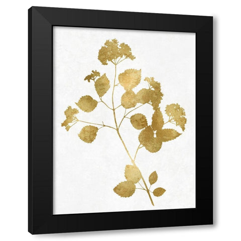 Nature Gold on White VI Black Modern Wood Framed Art Print with Double Matting by Carson, Danielle
