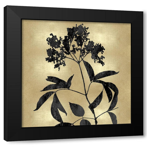 Nature Black on Gold V Black Modern Wood Framed Art Print with Double Matting by Carson, Danielle