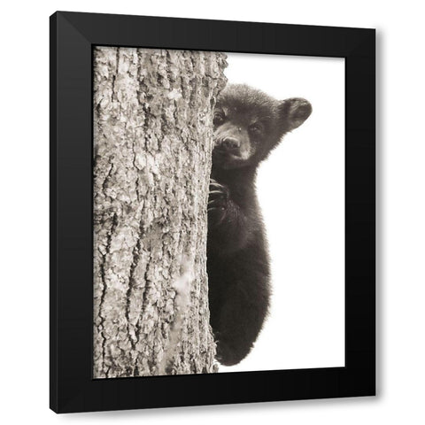 Boo Black Modern Wood Framed Art Print by Sproul, Dan