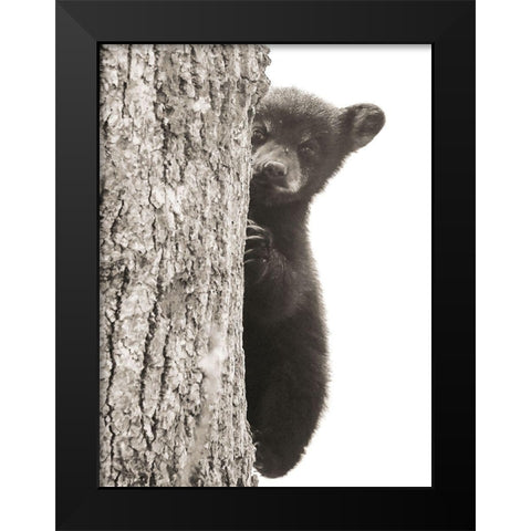 Boo Black Modern Wood Framed Art Print by Sproul, Dan