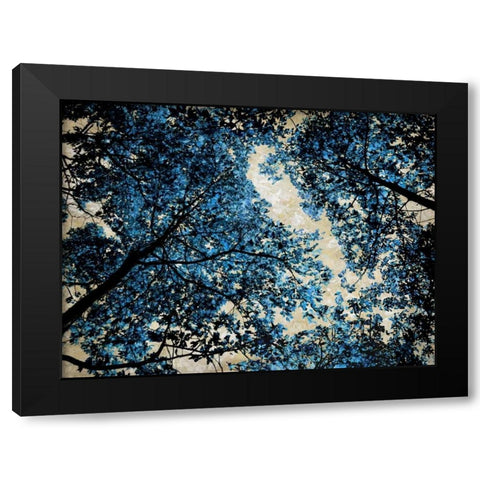 Blue Forest II Black Modern Wood Framed Art Print by Scott, Derek