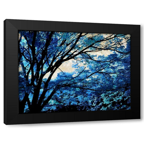 Blue Forest III Black Modern Wood Framed Art Print with Double Matting by Scott, Derek