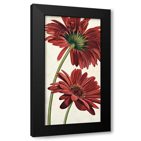 Armonie in rosso Black Modern Wood Framed Art Print by Barberini, Eva