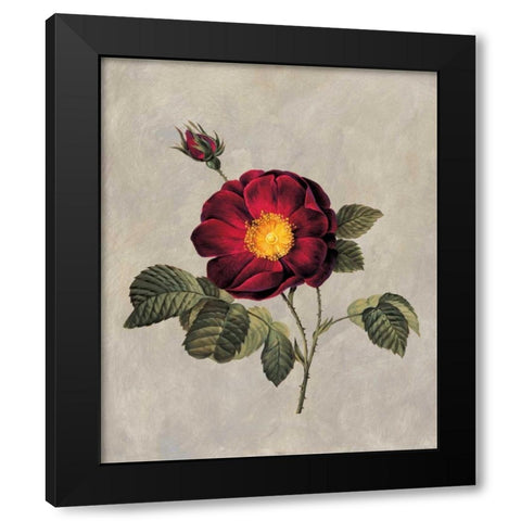 Timeless I Black Modern Wood Framed Art Print with Double Matting by Lopez, E.