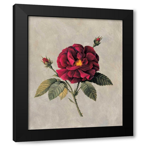 Timeless II Black Modern Wood Framed Art Print by Lopez, E.