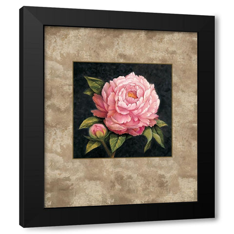 Pink Peony Black Modern Wood Framed Art Print by Lopez, E.