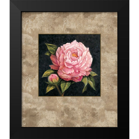 Pink Peony Black Modern Wood Framed Art Print by Lopez, E.