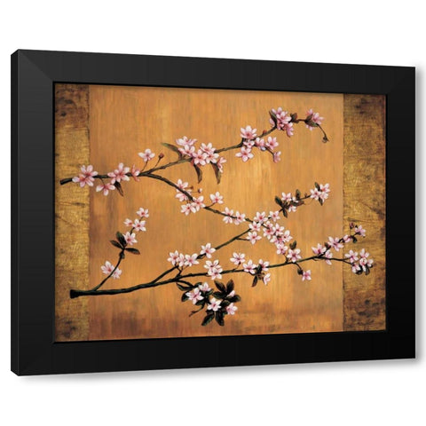 Cherry Blossoms Black Modern Wood Framed Art Print with Double Matting by Lange, Erin