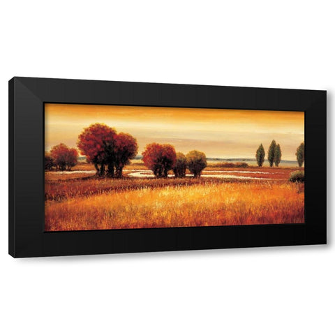 Golden Reflections I Black Modern Wood Framed Art Print with Double Matting by Williams, Gregory